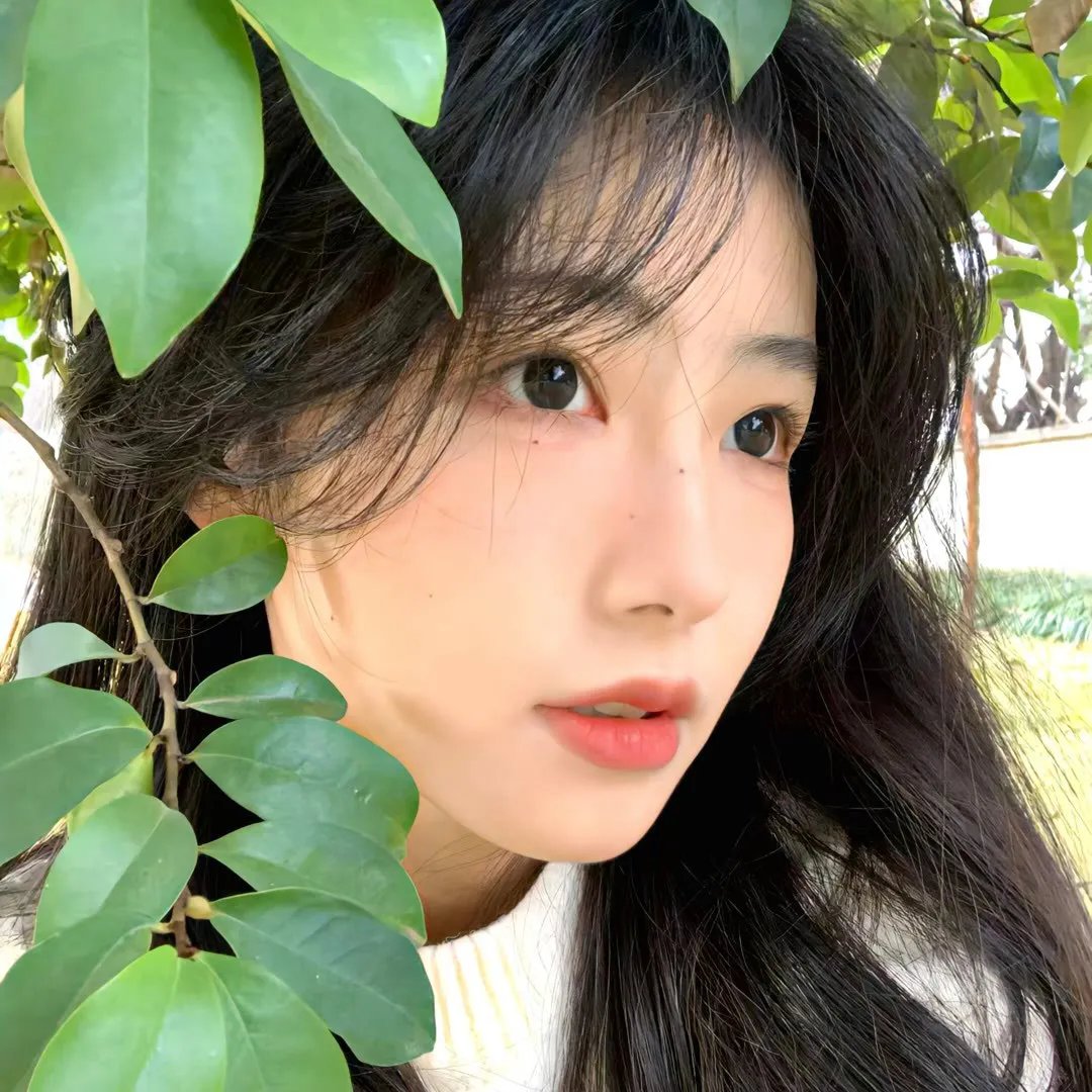 魔茧